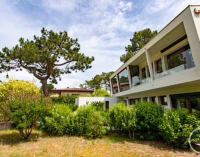 Cap sur La Vigne